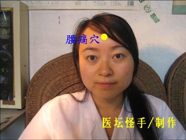 王文遠(yuǎn)平衡針灸穴位圖 - 3396815 - 3396815博愛(ài)